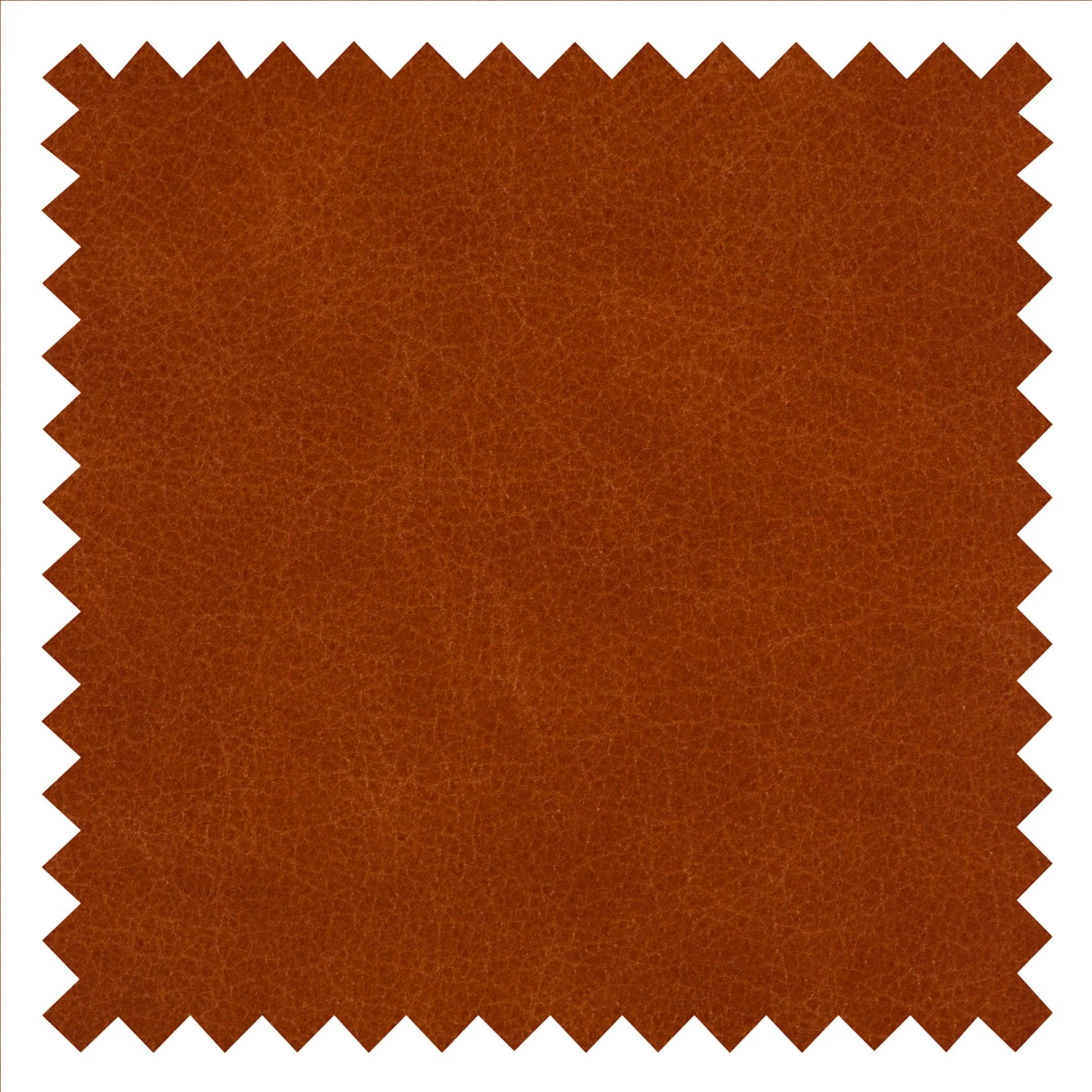 Maison Belfort Fauteuil Sweetwater - Cognac 12 Maison Belfort Fauteuil Sweetwater - Cognac – Image 10