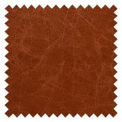 Ars manufacti Canapé Horley - 2 places - Cuir véritable - Cognac vintage -loftscape Boutique 1000015367 200616 19121800056 DETAILS P000000001000015367