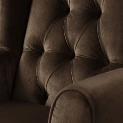 Maison Belfort Fauteuil à oreilles Luro - Velours -loftscape Boutique 1000117569 190712 10052600030 DETAILS P000000001000117569