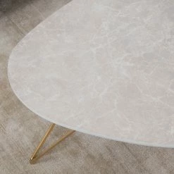 Jack & Alice Table basse Sherry II - Imitation marbre gris clair / Doré -loftscape Boutique 1000125121 190325 15501200002 GALLERYIMAGES P000000001000125121