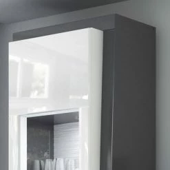 Loftscape Vitrine Curlewis I - Blanc brillant / Anthracite -loftscape Boutique 1000171328 210930 134153000045 DETAILS P000000001000171328