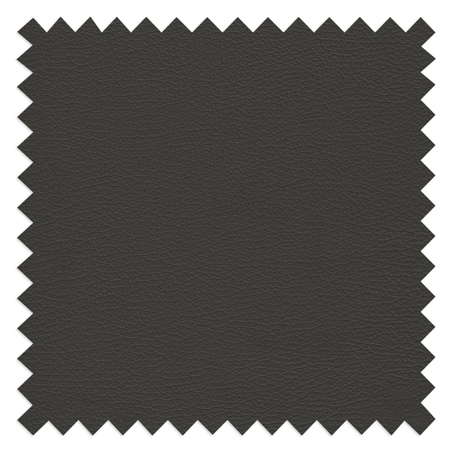 Loftscape Fauteuil Nibley IV - Cuir pigmenté - Anthracite 12 Loftscape Fauteuil Nibley IV - Cuir pigmenté - Anthracite – Image 10