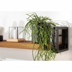 Ars manufacti Meubles TV Manchester III (3 éléments) - Acacia massif / Métal - Acacia / Anthracite -loftscape Boutique 1000213222 220630 026 MOOD DETAILS P000000001000213222 mood