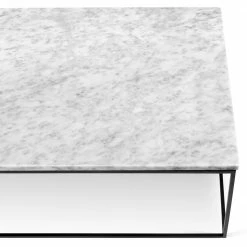 Temahome Table basse Gleam I - Marbre / Métal - Blanc / Noir - Largeur : 120 cm -loftscape Boutique 1000255261 210324 15033600347 DETAILS P000000001000255261