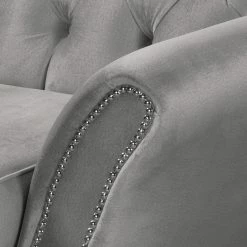 Red Living Fauteuil Dassel - Velours - Velours Onoli: Gris -loftscape Boutique 1000278195 210715 11324300252 DETAILS P000000001000278195