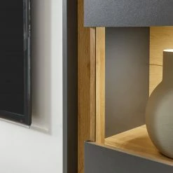 Norrwood Ensemble meubles TV Olon IV (4 éléments) - Anthracite -loftscape Boutique 1000350323 220517 039 DETAILS P000000001000350323