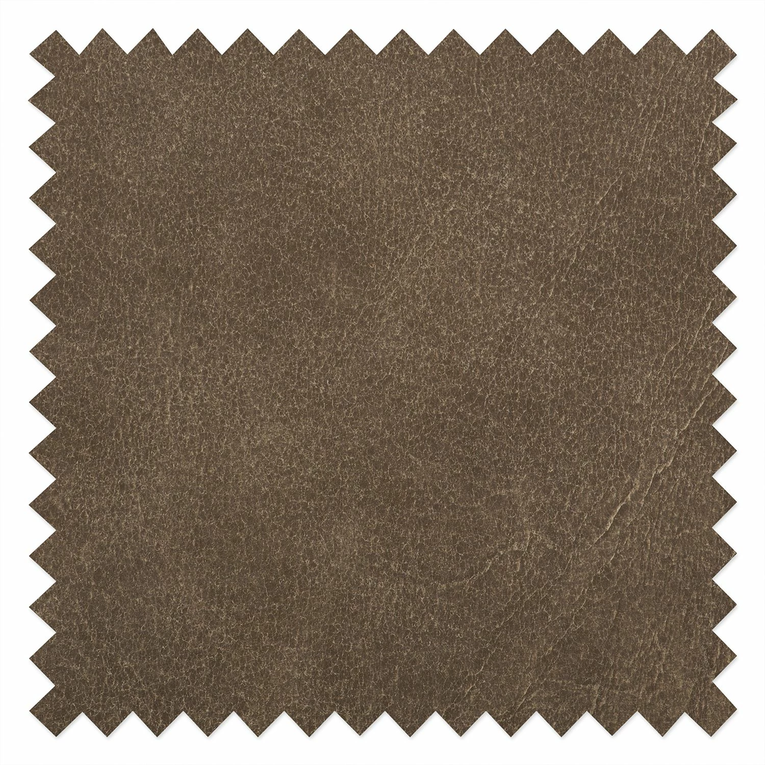 Ars Natura Fauteuil Maine - Cuir véritable - Noix de muscade 12 Ars Natura Fauteuil Maine - Cuir véritable - Noix de muscade – Image 10