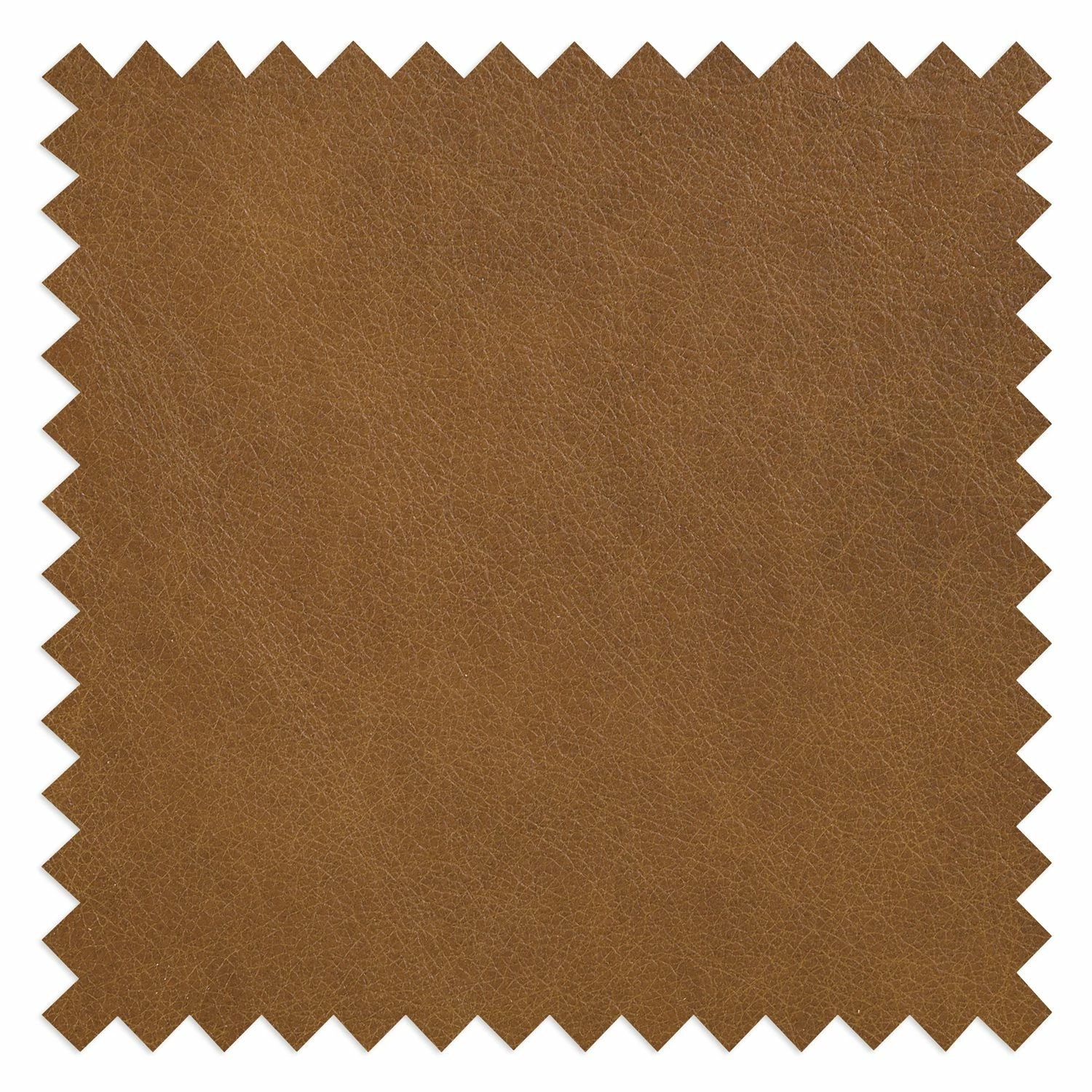 Ars Natura Canapé Alexo (2 places) - Cuir véritable - Marron 12 Ars Natura Canapé Alexo (2 places) - Cuir véritable - Marron – Image 10