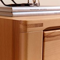 Ars Natura Vitrine NatureStar - Butoir à droite -loftscape Boutique standvitine rechts naturestar kernbuche teilmassiv 1427560